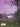 Egypt: The Land (Bobbie Kalman Book) cover image