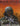 Black Rifle II: The M16 Into the 21st Century cover image