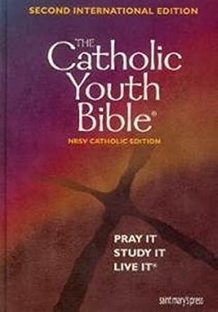 CATHOLIC YOUTH BIBLE cover image