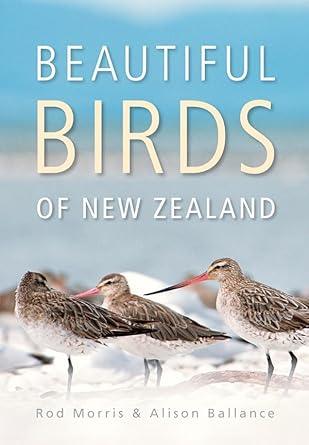 Beautiful Birds of New Zealand cover image