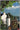 Dundee: An Illustrated Architectural Guide cover image