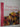 Fresh Fruit and Deserts cover image