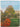 The historic gardens of Oxford & Cambridge by Mavis Batey,Hugh Palmer