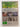 Literary Landscapes (2 Discs) [DVD] by Aaron Jones