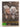 A Christmas Carol [DVD] by Moira Armstrong