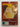The Vicious Circle [DVD] by