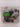 CDs - Puppy Party: Sounds for Life [CD] by Various Artists - Book Express
